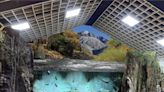 櫻花鉤吻鮭生態中心展示館整修完成 7／2重新開放 - 寶島