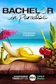 Bachelor in Paradise (American TV series) season 9