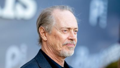 Steve Buscemi punched while walking in New York City