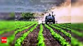Carbon Credits to Boost Farmers' Income in Uttar Pradesh | Lucknow News - Times of India