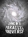 Living in a Parallel Universe