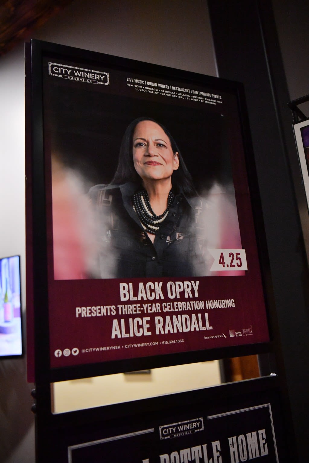 Country music pioneer Alice Randall gets to the roots of the genre in 'My Black Country'