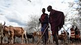 Tanzania forcibly relocating Indigenous Maasai: HRW