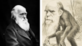 Fact Check: Darwin Reportedly Converted to Christianity and Renounced Theory of Evolution on His Deathbed. Here Are the Facts