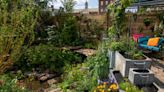 Yard of the Week: Beautiful Garden With Flood-Resistant Features (8 photos)