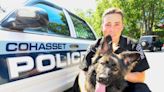 'Plenty of boops': Police mourn death of police dog Erik