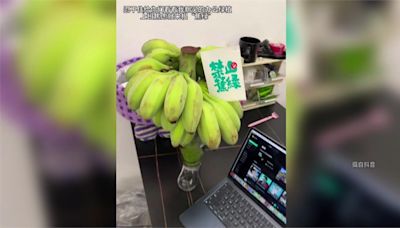 禁止「蕉綠」！ 中國上班族興起辦公室種香蕉