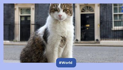 Larry, the 'Chief Mouser' of 10 Downing Street set to welcome his sixth Prime Minister