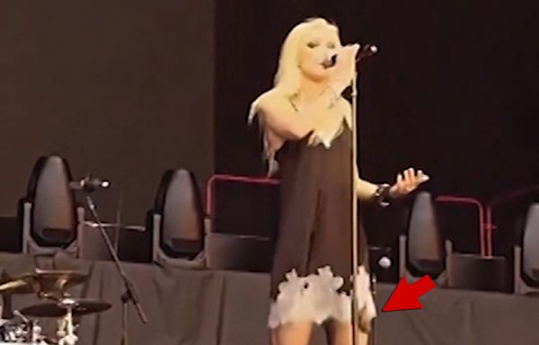 'Gossip Girl' Star Taylor Momsen Bitten by Bat Onstage, Gets Rabies Shots