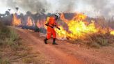 Uso de fogo para limpeza e manejo de áreas rurais está proibido de 1º de agosto a 30 de novembro no Maranhão - Imirante.com