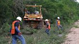 ONG reclaman a Gobierno mexicano desprotección ambiental en Tren Maya