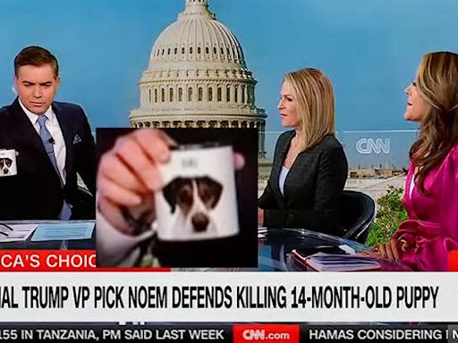 CNN’s Jim Acosta Says Trump VP Prospect Thought Dog Story Would Help: ‘Look What I Can Do! I Can Kill A Puppy!’