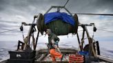 Federal government ends northern cod moratorium in Newfoundland after 32 years