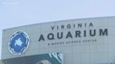 "You’ve got to be a miracle worker:” Future of Virginia Aquarium undecided as City Council hears from consultant