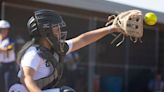 5 Ann Arbor-area softball teams on the rise