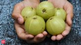 Amla: Benefits of this monsoon superfood, items you can prepare and how to consume
