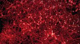 Groundbreaking Study Links Tiny Brain Bubbles to Alzheimer’s Progression