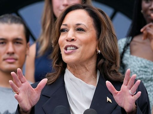 How the House GOP campaign arm is pivoting to target Harris: Border, fracking and protests