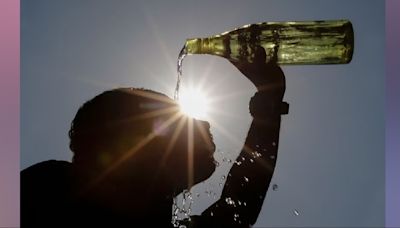 37 cities record temperatures over 45°C as India sweats through heat wave