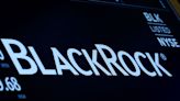 BlackRock appoints Hua Fan head of China, succeeding Tony Tang -sources