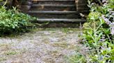 Ditch white vinegar and salt to remove gravel weeds for better household item