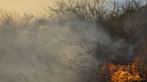 Opinião: Corrida atrás de incêndios e cheiro forte da fumaça marcaram a cobertura da Folha no pantanal