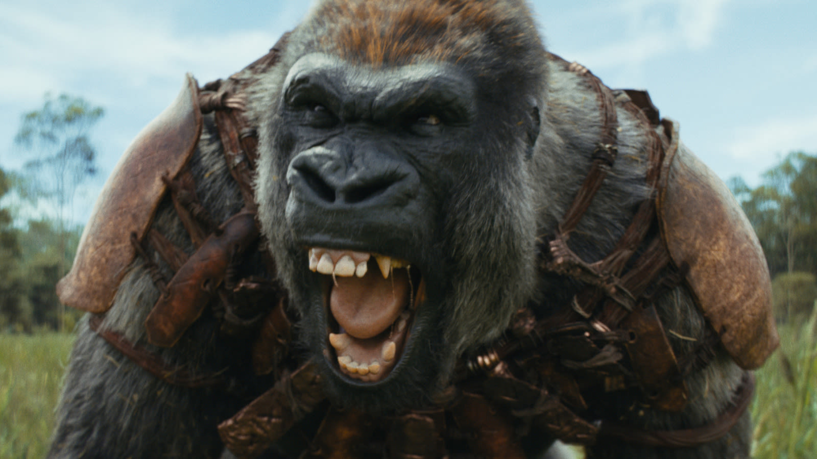 Kingdom Of The Planet Of The Apes Rules The Weekend Box Office With $52-55 Million Debut - SlashFilm