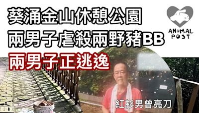 兇殘！葵涌金山休憩公園兩行男虐殺兩野豬BB 兩男子正逃逸