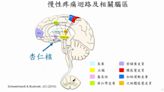 最新研究：纖維肌痛「誘發憂鬱、焦慮」找到關鍵原因！醫教2招自救