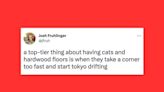 22 Of The Funniest Tweets About Cats And Dogs This Week (March 4-10)
