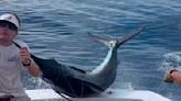 Frantic scene as 300-pound marlin leaps into fishing boat