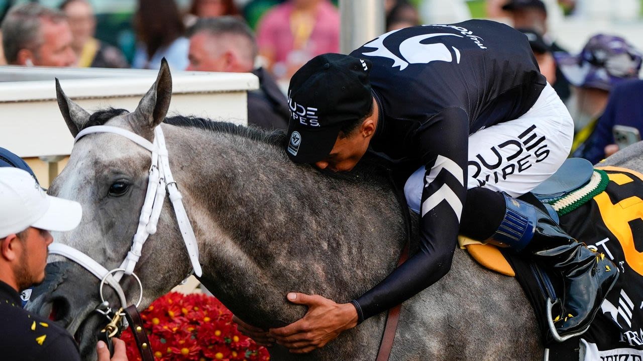 Preakness winner Seize the Grey is likely running in the 1st Belmont at Saratoga