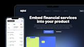 Nigerian banking-as-a-service platform Maplerad raises $6M, led by Peter Thiel’s Valar Ventures