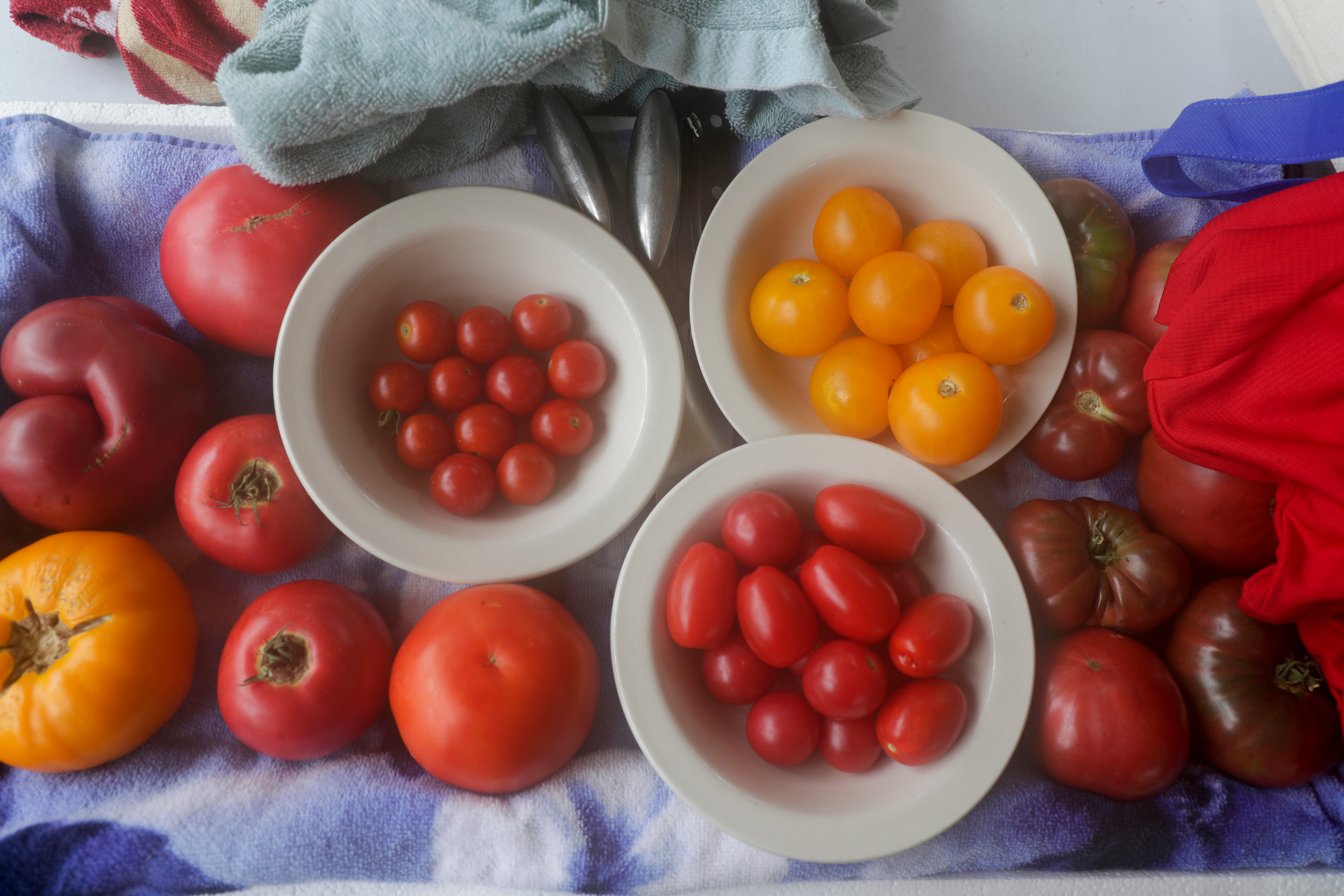 Tallahassee foodies and farmers know there's a lot to love at the Tomato Feastival