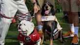 Ranking the best live mascots in the SEC