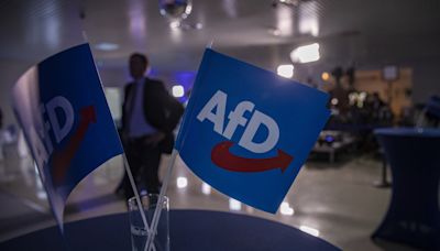 Confirmado como sospechosa de extremismo la ultraderechista Alternativa para Alemania (AfD)