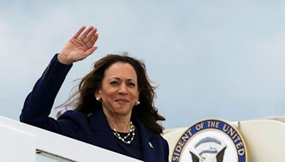 Democrats vote to nominate Harris amid Trump race remark outrage