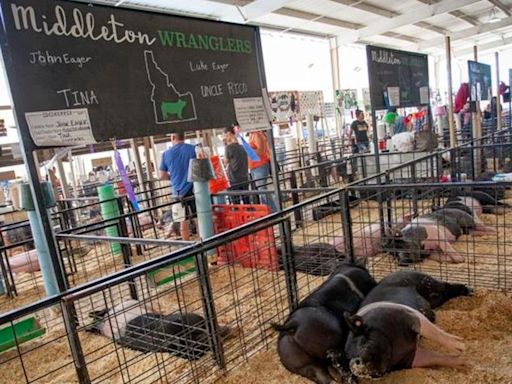 Canyon County Fair gets going in Caldwell