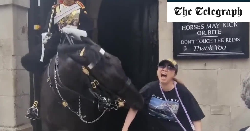 Watch: Tourist bitten by King’s Guard horse - while standing under warning sign