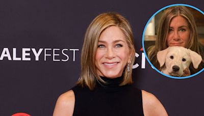 Jennifer Aniston 'Plans Her Life' Around Her Dogs and Fostering