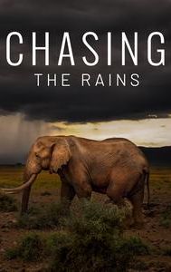 Chasing the Rains