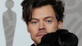 Condenaron a una mujer brasileña a 14 semanas de prisión por acosar a Harry Styles