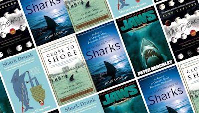 The 23 Best Shark Books of All Time