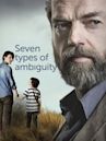 Seven Types of Ambiguity (TV series)