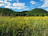 Gaines Township, Tioga County, Pennsylvania