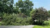 Strong winds damage trees, property off US 42 in Goshen