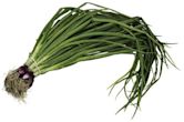 Scallion