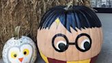 How to create the best painted pumpkins for Halloween 2020 - including Harry Potter and Disney