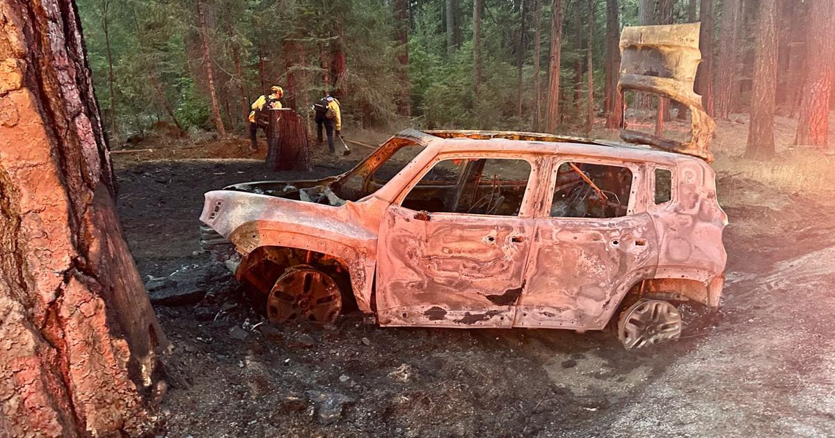 Firefighters stop early morning vehicle fire with extension to vegetation