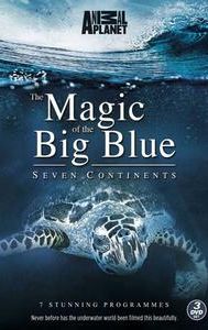 The Magic of the Big Blue